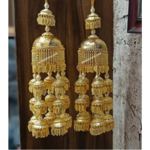 Royal Punjabi Wedding Kalira